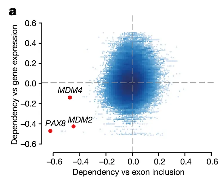 Figure 4a