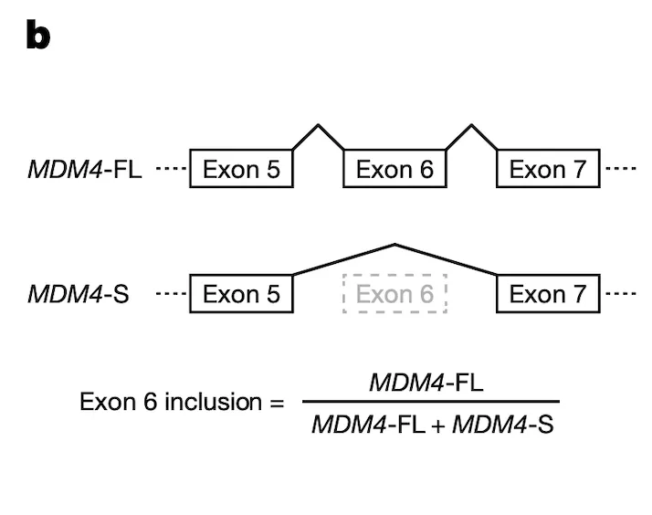 Figure 4b