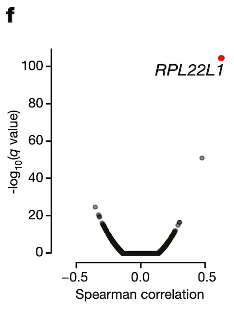 Figure 4f