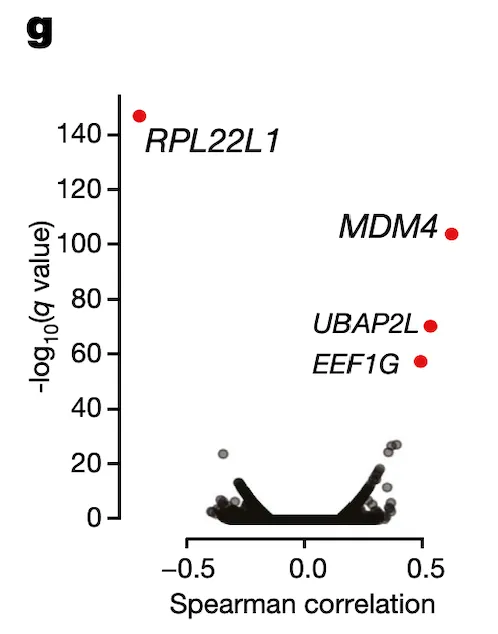 Figure 4g