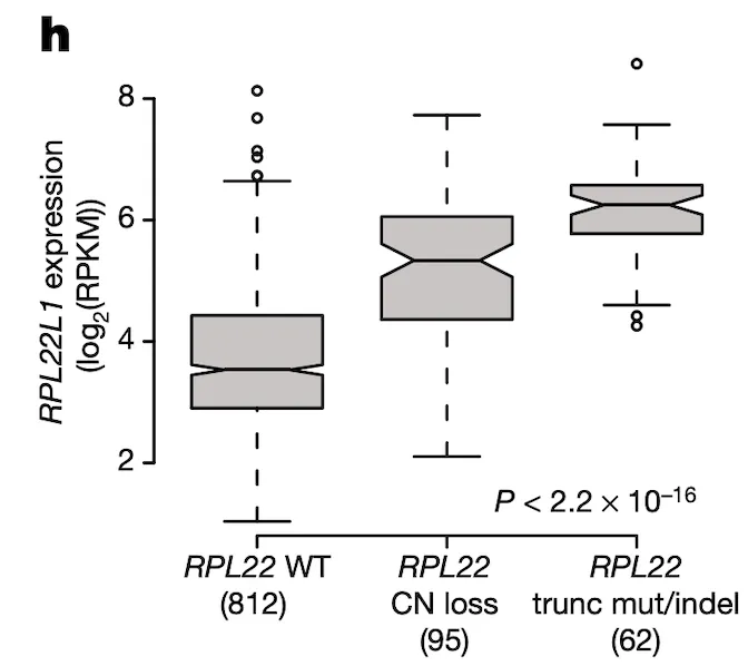 Figure 4h