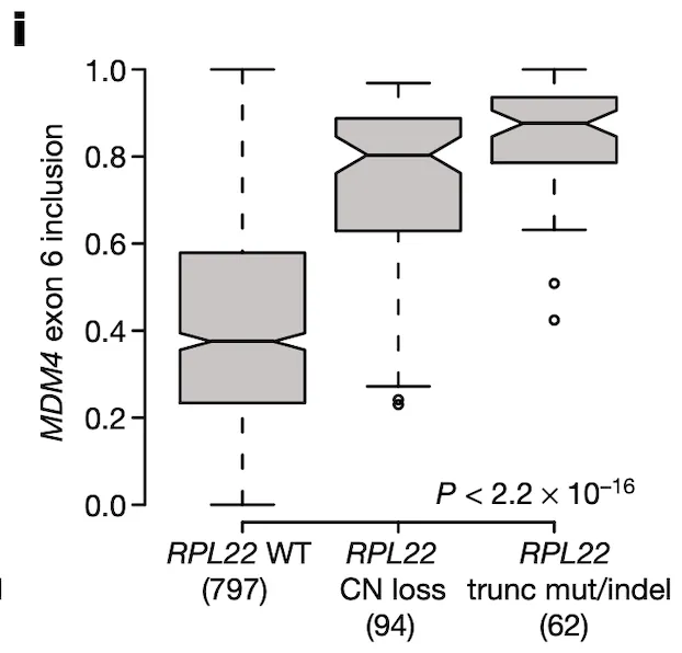 Figure 4i